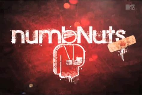 NumbNuts | Game Shows Wiki | Fandom