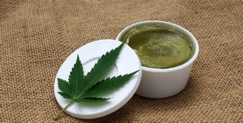 Cannabis Pain Cream | Cannabis Pain Cream Recipe