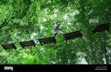 Eileen Noble, 84, navigates treetop crossing as she becomes the oldest person to complete the Go ...