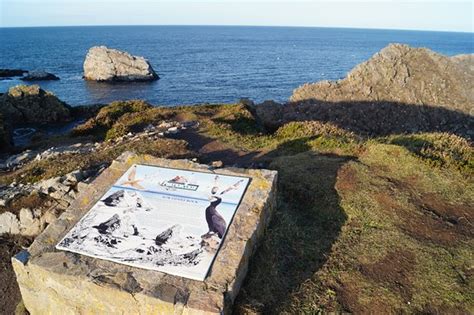 Bow Fiddle Rock (Portknockie) - 2020 All You Need to Know Before You Go (with Photos ...