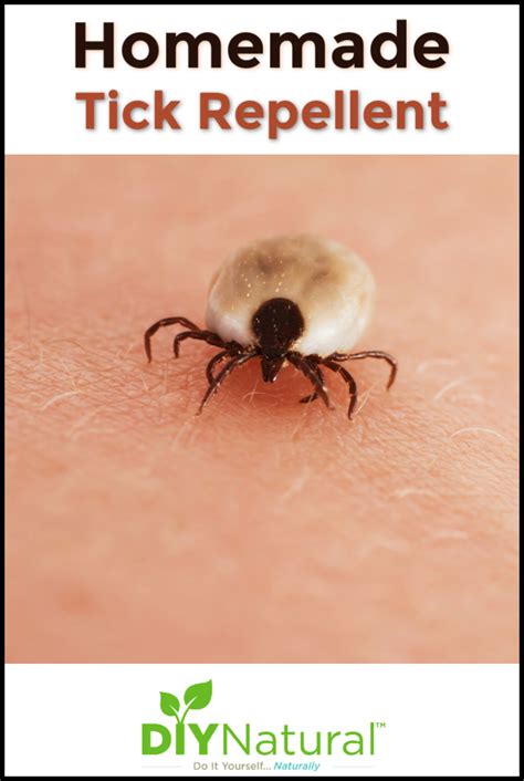 Trouble with ticks? Rest easy with this natural, DIY homemade tick repellent recipe! This is a ...