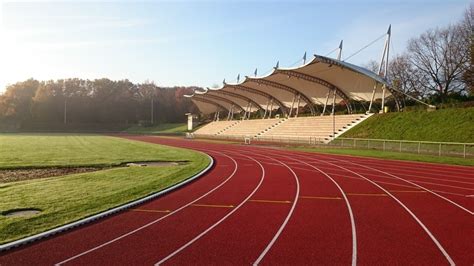 Free Images : tree, structure, roof, building, city, recreation, leisure, stadium, grandstand ...