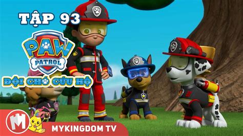 ĐỘI CHÓ CỨU HỘ PAW PATROL MINI | Tập 93 | Phim hoạt hình - Phim Hay Nhất