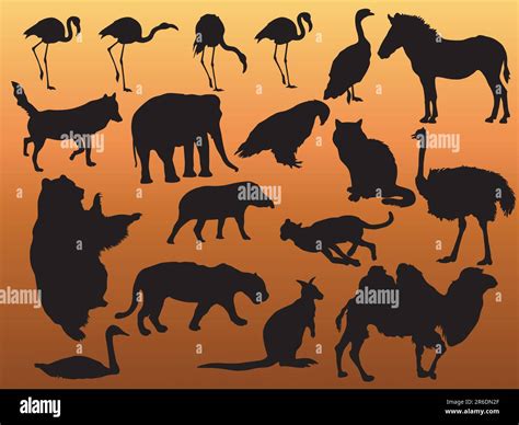 Vector black silhouette of animals Stock Vector Image & Art - Alamy