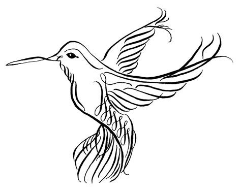 Hummingbird Line Drawing at GetDrawings | Free download