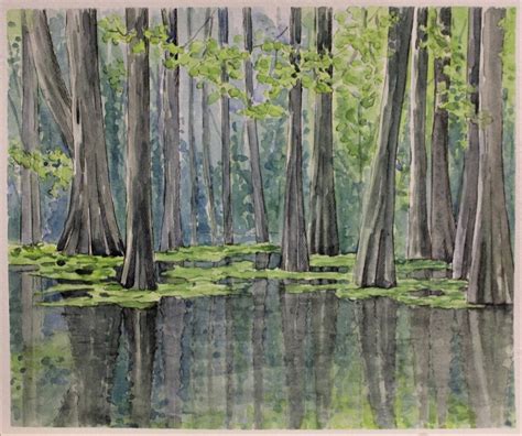 Louisiana Swamp Original Watercolor Painting Cypress Swamp | Etsy