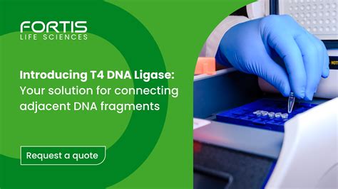 T4 DNA Ligase