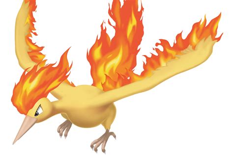 Moltres (5e Creature) - D&D Wiki