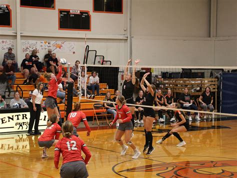 panther volleyballs - Clip Art Library