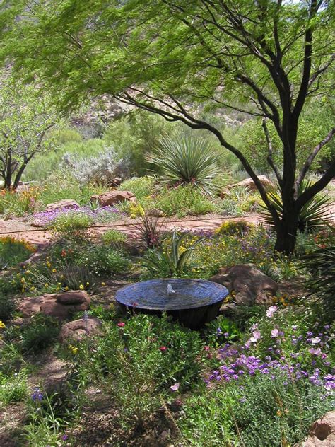 Landscaping with Nature – Xeriscape - Water Use It Wisely