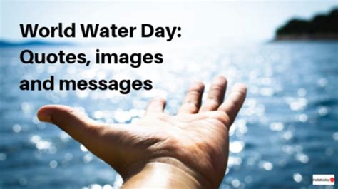 World Water Day: Quotes, messages and images - Information News