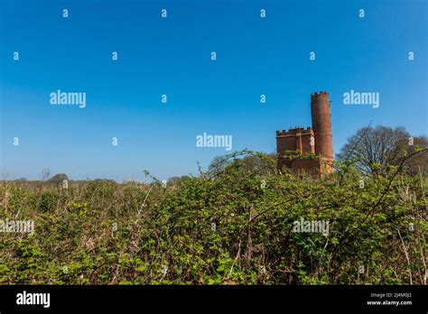 Herd of Cows Blickling Park, Blickling, Norfolk Stock Photo - Alamy