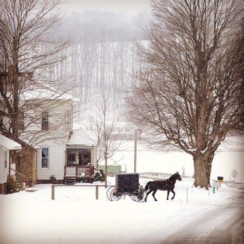 #winter in Amish Country #ohio | Amish country ohio, Amish farm, Amish country