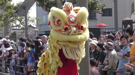 Lion dance at Sakata Festival Barongsai - YouTube