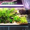 Fish Tank - J&Y Aquarium LLC | Groupon