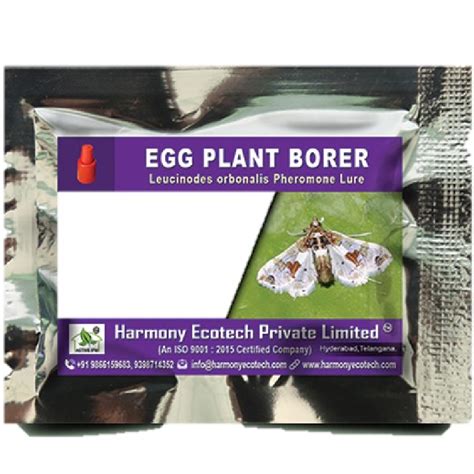 Leucinodes orbonalis-Fruit & shoot borer – LURES