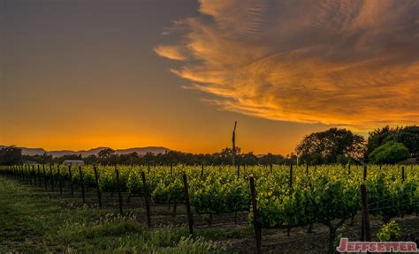 Sunset in Yountville, California (Napa Valley) | Sunset, Yountville ...