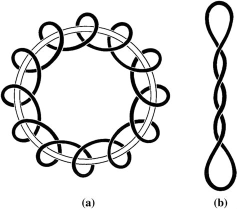 Two general varieties of DNA supercoil. In a, the DNA coils into a ...