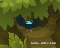 Birds of Paradise Journey Book Cheats - Animal Jam - Animal Jam World