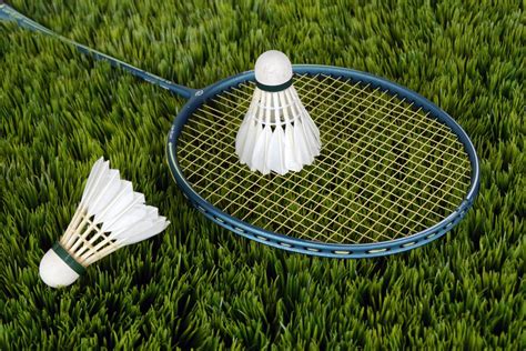 Free Images : grass, sport, green, sports equipment, golf club, net, badminton, ball game ...