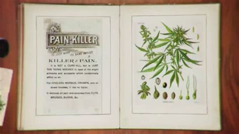 The quick hit history of medical marijuana - CNN Video