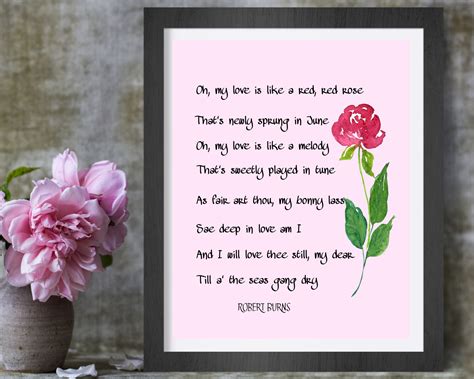 Oh My Love is Like A Red Red Rose Print Robert Burns Love - Etsy UK