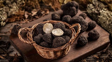 Can You Grow Truffle Mushrooms At Home?