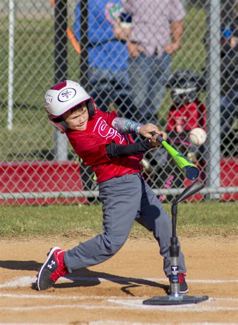 Essential T-Ball Equipment Checklist for Little League Baseball ...