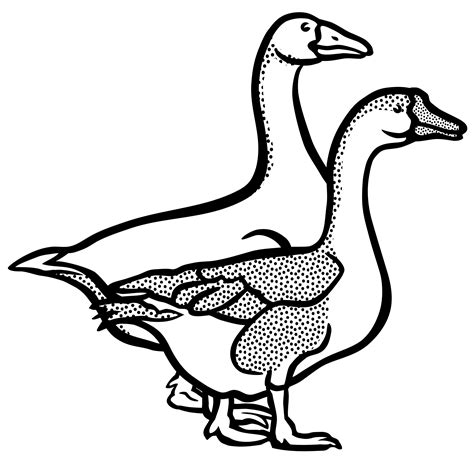 Goose clipart outline, Goose outline Transparent FREE for download on WebStockReview 2023