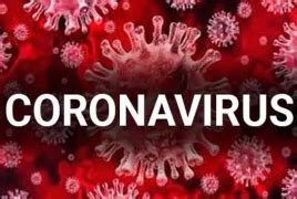 Coronavirus reaches Azerbaijan; Iran death toll climbs to 34 - PanARMENIAN.Net
