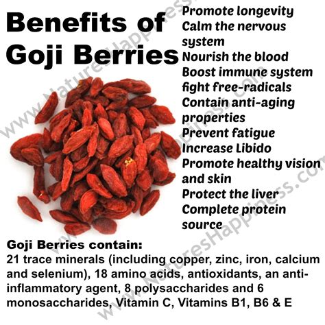 Benefits of Goji Berries | Health & Wellness | Benefits of berries, Superfood, Health