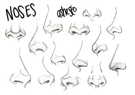 Art References | Nose drawing, Anatomy sketches, Art reference poses