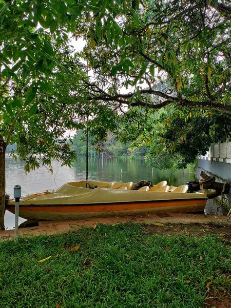 Periyar river in Kerala. stock image. Image of nature - 263063613