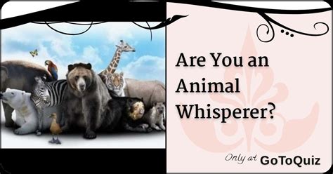 Are You an Animal Whisperer?