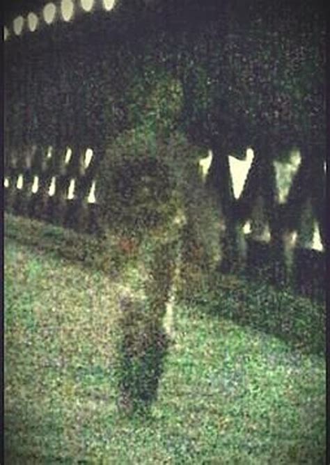 Gettysburg ghost | Paranormal photos, Real ghost photos, Real ghosts