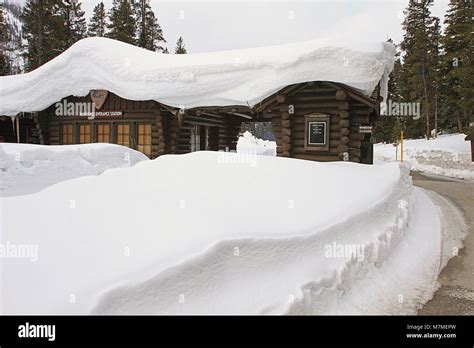 Northeast Entrance to Yellowstone Northeast Entrance to Yellowstone Stock Photo - Alamy