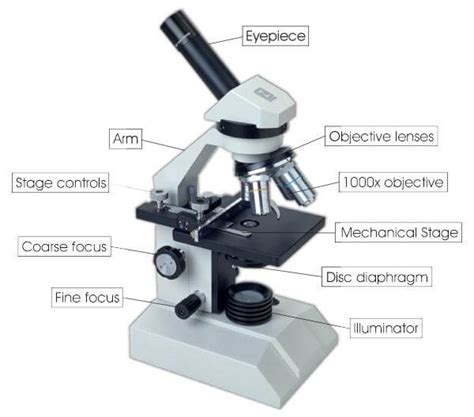 The Parts of a Microscope - Microscope and Laboratory Equipment Reviews