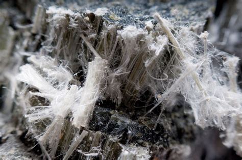 Chrysotile Asbestos Fibers