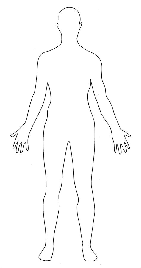 Human Body Template | room surf.com