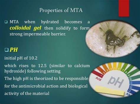 mineral trioxide aggregate.shadan