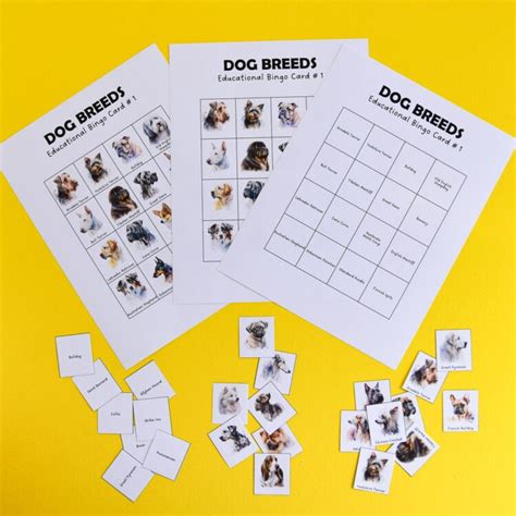 Printable Dog Bingo Game | Adventure in a Box