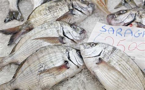 Greek Fish Translated: A Guide to Greece's Seafood - Greece Is