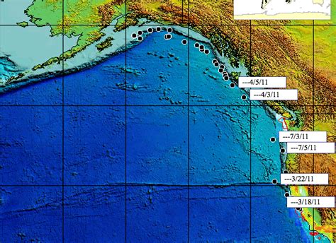 Analysis of Migration - Migration of the Northern Elephant Seal