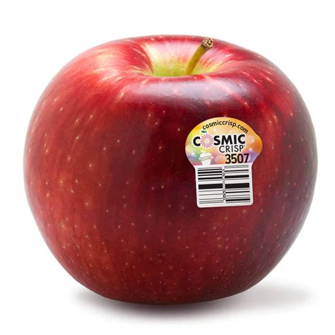 Zestar apples are the best apples - AR15.COM