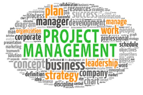 Project Management – 7 Top Tips - Alternative Partnership