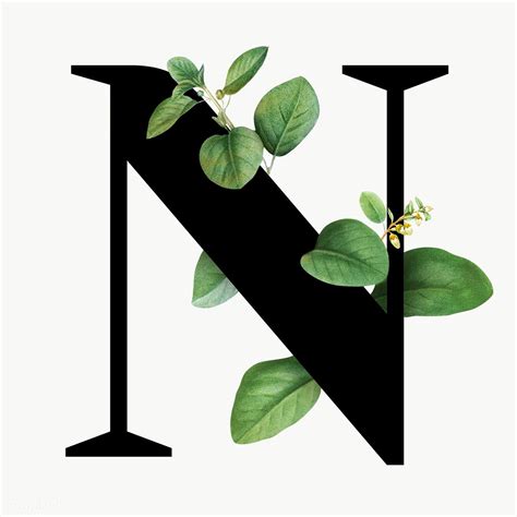 Download premium png of Botanical capital letter N transparent png ...