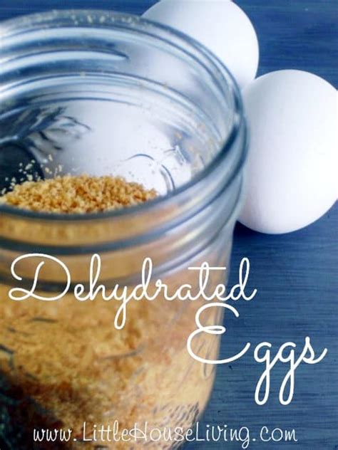 Dehydrated Eggs - How to Make and Use - Little House Living