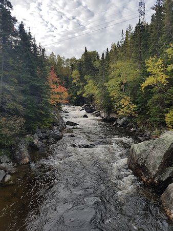 Corner Brook Stream Trail - 2019 All You Need to Know BEFORE You Go (with Photos) - TripAdvisor