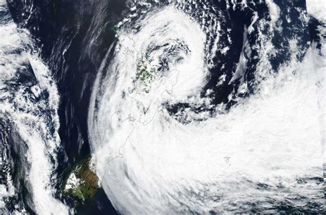 New Zealand wine producers begin harvest in the wake of cyclone destruction - Decanter