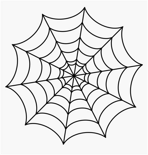 Spider Web Drawing - Transparent Spider Web Cartoon, HD Png Download ...